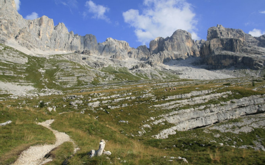 primavera e relax 15%
